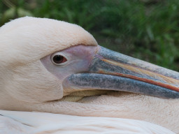 Vogelpark Olching