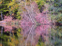 Berolina Auto 2,8/100mm