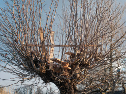 Carl Zeiss Distagon 2,8/25mm