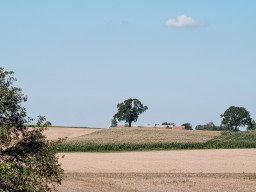 Fujinon-T EBC 2,8/100mm