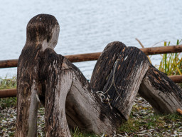 Fujinon-T EBC 2,8/100mm