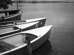 Fujinon EBC 1,8/55mm