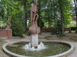 Fujinon EBC 2,8/16mm (Fisheye)