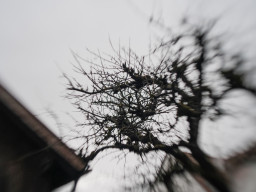 Pentacon auto MC  2,8/29 mm