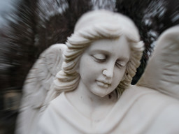 Pentacon auto MC  2,8/29 mm