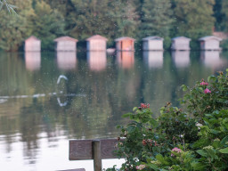 Minolta MC Macro 3,5/100mm