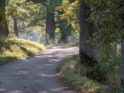 Minolta MC Macro 3,5/100mm