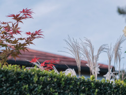 Minolta MC Macro 3,5/100mm