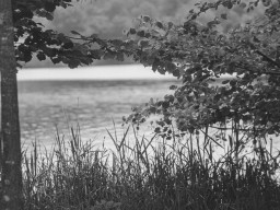 Minolta MD Rokkor-X 3,5/135mm