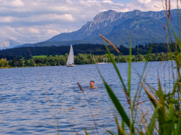 Minolta MD 3,5/35-70mm