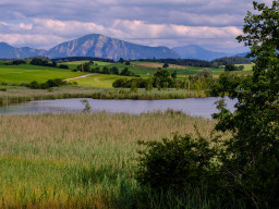 Minolta MD 3,5/35-70mm