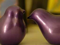 Minolta MD 3,5/50mm Macro