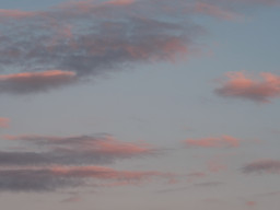 A. Schacht Ulm Travenar 3,5/135mm