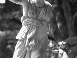 Sigma Mini-Tele 3,5/135mm