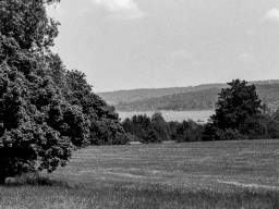 Sigma Mini-Tele 3,5/135mm