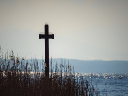 Tokina RMC 8/500mm (mirror)