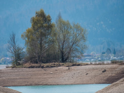 Tokina RMC 8/500mm (mirror)