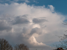 Voigtländer / Rollei