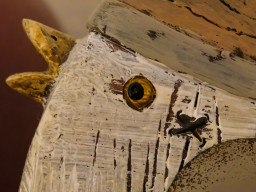 C24AA029-1EA4-4598-9581-566A5B042F42-241-0000000154E83E79