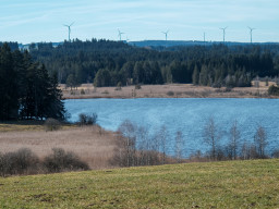 Elbsee