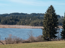 Elbsee