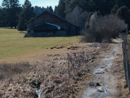 Elbsee