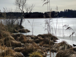 Elbsee