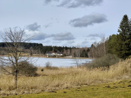 Elbsee