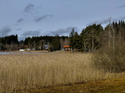 Elbsee
