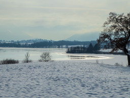 Riegsee - Winter