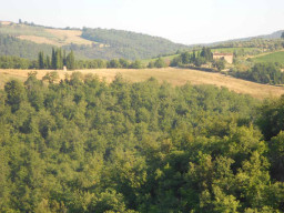 Toscana