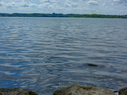 Wörthsee
