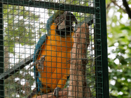 Vogelpark Olching