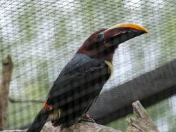 Vogelpark Olching