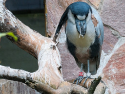 Vogelpark Olching