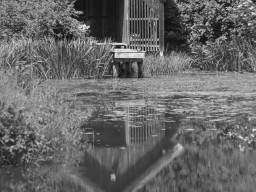 Schacky Park