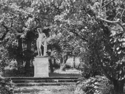Schacky Park