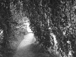Schacky Park
