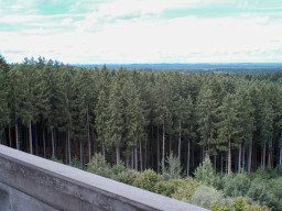 Eggelburger See