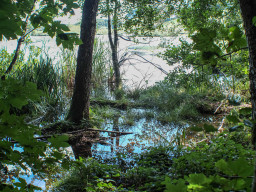 Eggelburger See