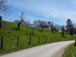 Eggelburger See