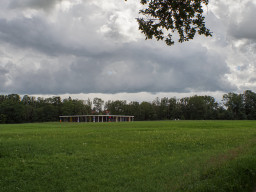 STOA169
