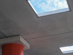 STOA169